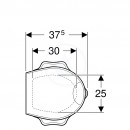 312047.jpg